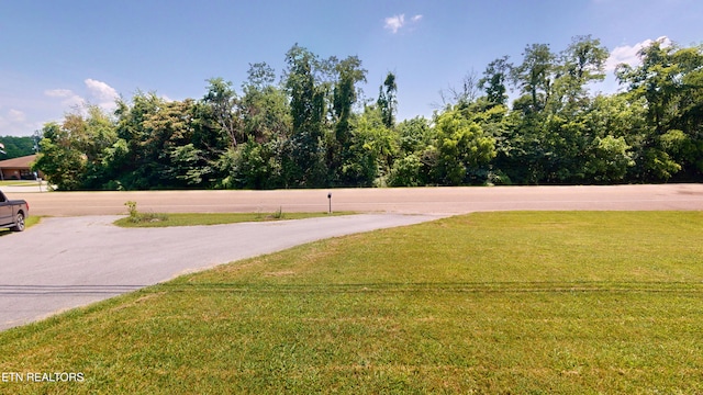 299 Main St, Bean Station, TN 37708 - photo 33