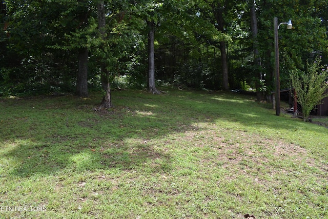 111 Chestnut Cir, Lafollette, TN 37766 - photo 16
