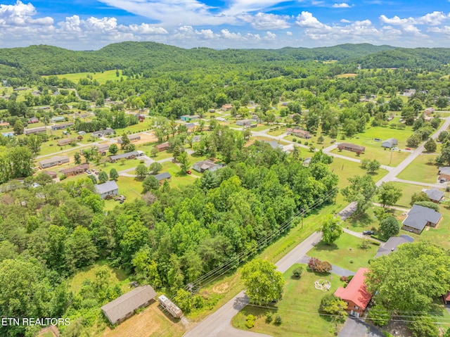Post Oak Valley Rd, Rockwood, TN 37854 - photo 5
