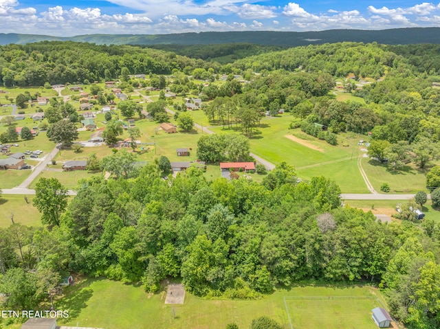 Post Oak Valley Rd, Rockwood, TN 37854 - photo 7