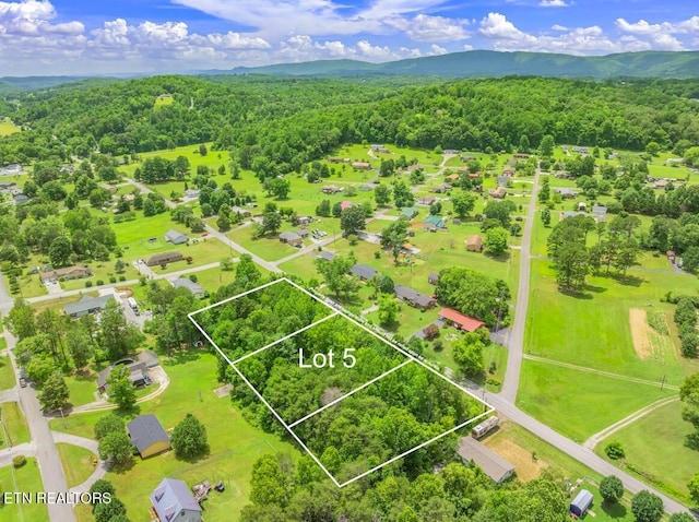 Post Oak Valley Rd, Rockwood, TN 37854 - photo 8