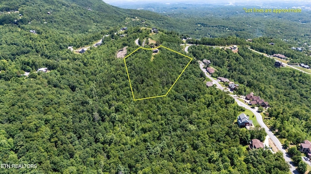 3301 Summit Trails Dr, Sevierville, TN 37862 - photo 4