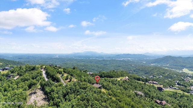 3301 Summit Trails Dr, Sevierville, TN 37862 - photo 5