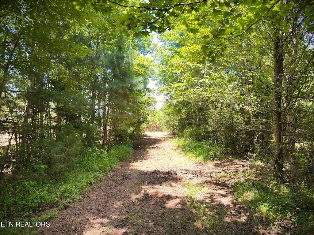 Marcrom Rd, Morrison, TN 37357 - photo 1