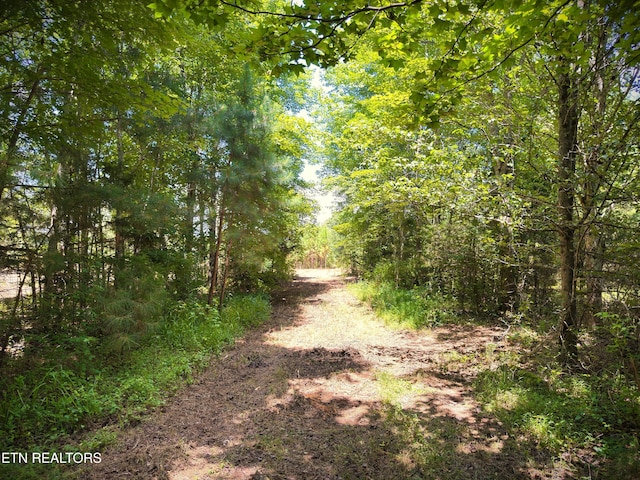 Marcrom Rd, Morrison, TN 37357 - photo 1