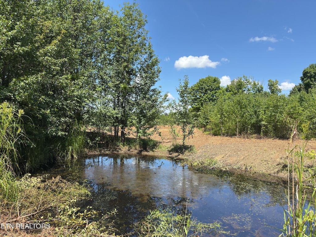Marcrom Rd, Morrison, TN 37357 - photo 2
