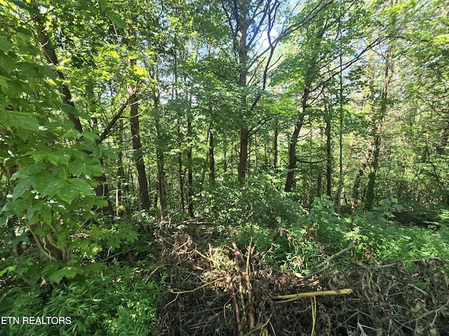 LOT25 Crestview Ct, Sevierville, TN 37876 - photo 5