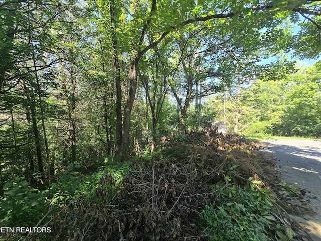 LOT25 Crestview Ct, Sevierville, TN 37876 - photo 8