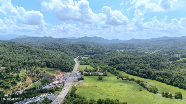 LOT25 Crestview Ct, Sevierville, TN 37876 - photo 11