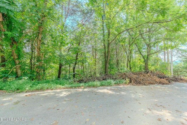LOT25 Crestview Ct, Sevierville, TN 37876 - photo 6