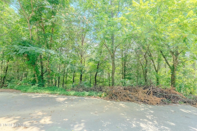 LOT25 Crestview Ct, Sevierville, TN 37876 - photo 7