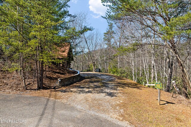 438 Coyote Rd, Gatlinburg, TN 37738 - photo 41