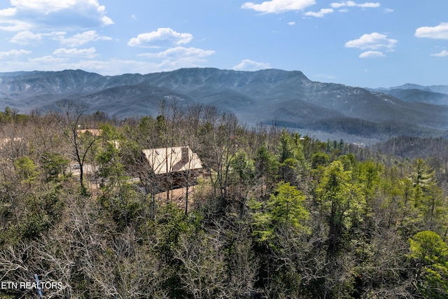 438 Coyote Rd, Gatlinburg, TN 37738 - photo 42