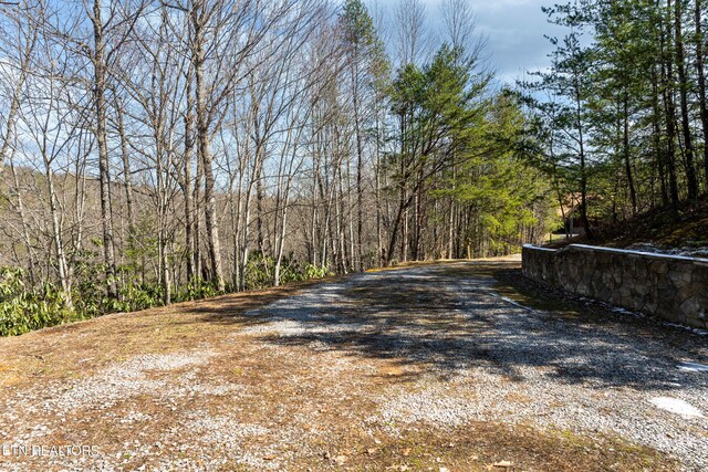 438 Coyote Rd, Gatlinburg, TN 37738 - photo 43