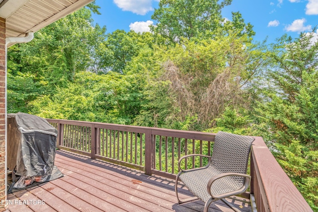 3238 Mountain Spring Way, Knoxville, TN 37917 - photo 32