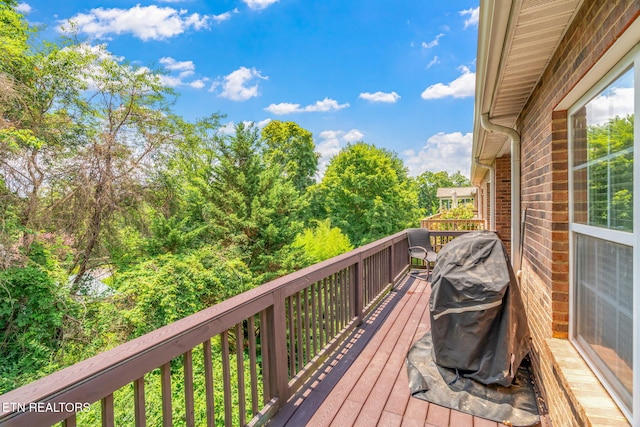 3238 Mountain Spring Way, Knoxville, TN 37917 - photo 34