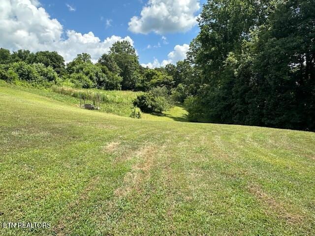 9360 Middle Wallens Creek Rd, Jonesville, VA 24263 - photo 16
