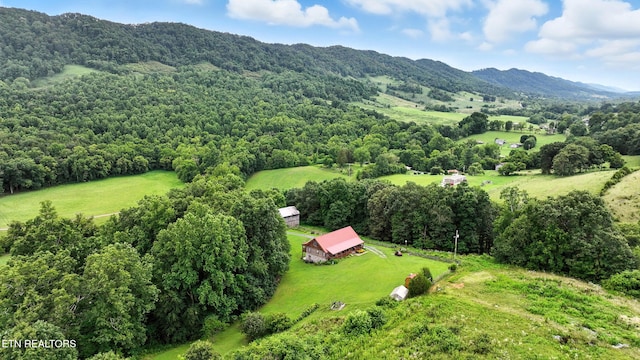 9360 Middle Wallens Creek Rd, Jonesville, VA 24263 - photo 11