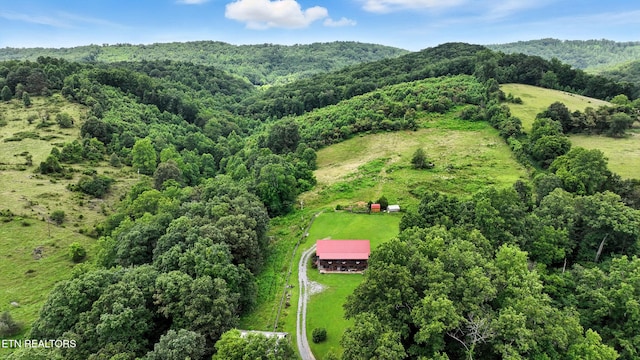9360 Middle Wallens Creek Rd, Jonesville, VA 24263 - photo 12