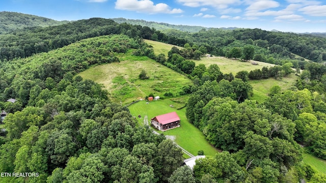 9360 Middle Wallens Creek Rd, Jonesville, VA 24263 - photo 13