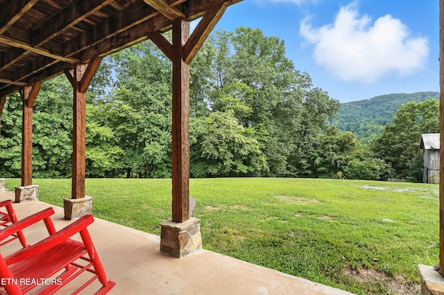 9360 Middle Wallens Creek Rd, Jonesville, VA 24263 - photo 54