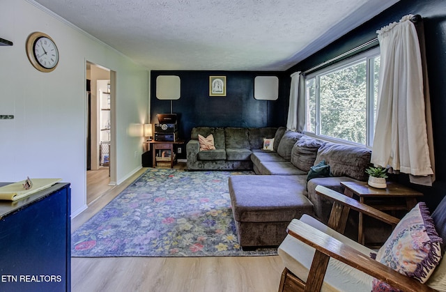 3316 Lay Ave, Knoxville, TN 37914 - photo 9