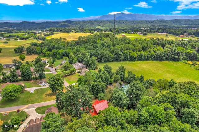 1550 Ellis Woods Loop, Sevierville, TN 37876 - photo 34