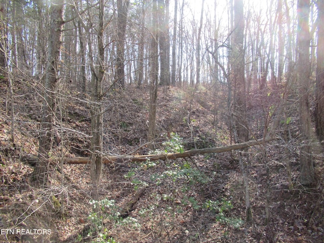 Tomotley Rd, Maryville, TN 37801 - photo 4