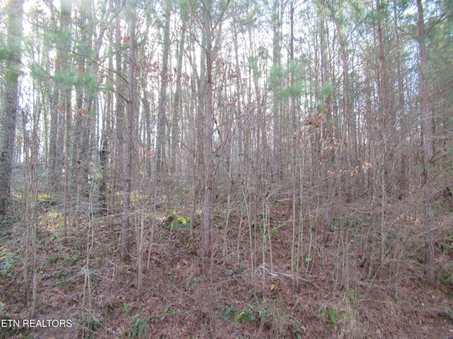 Tomotley Rd, Maryville, TN 37801 - photo 6