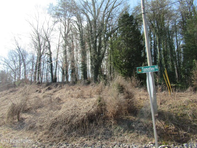 Tomotley Rd, Maryville, TN 37801 - photo 8