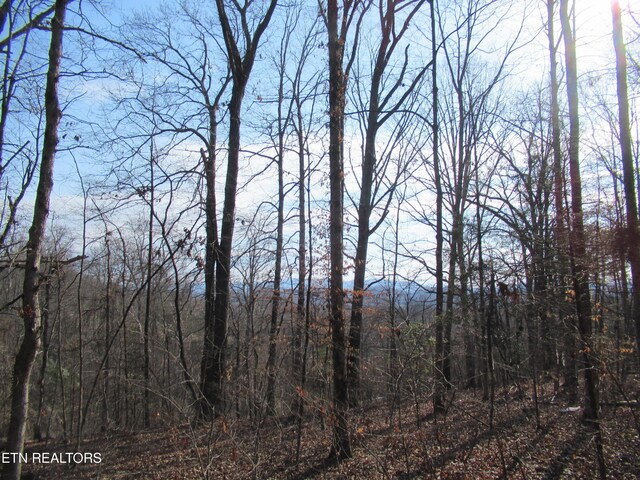 Tomotley Rd, Maryville, TN 37801 - photo 9
