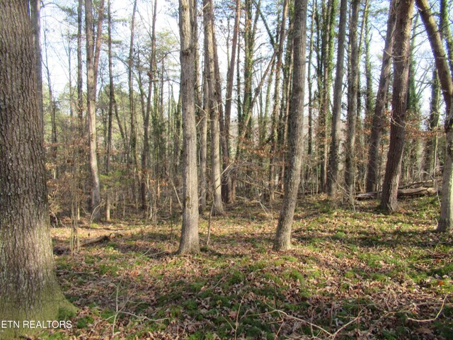 Tomotley Rd, Maryville, TN 37801 - photo 10