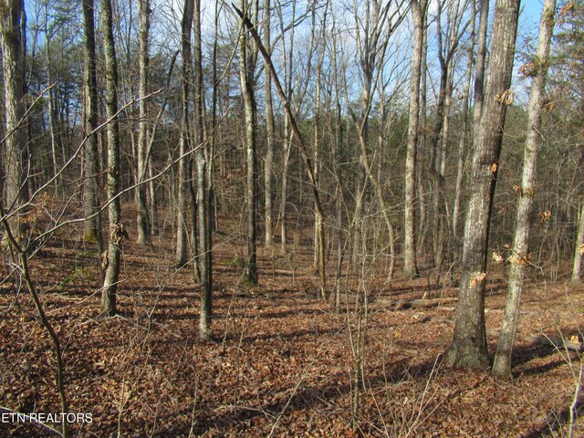 Tomotley Rd, Maryville, TN 37801 - photo 11