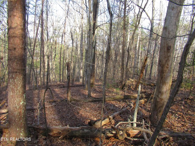 Tomotley Rd, Maryville, TN 37801 - photo 12
