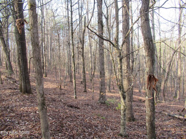 Tomotley Rd, Maryville, TN 37801 - photo 13