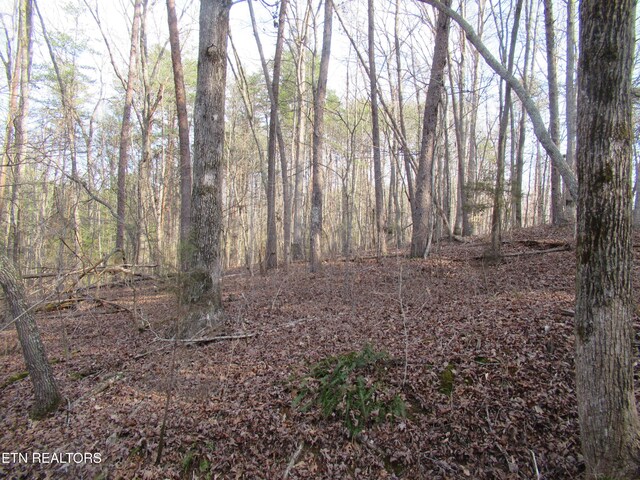 Tomotley Rd, Maryville, TN 37801 - photo 14
