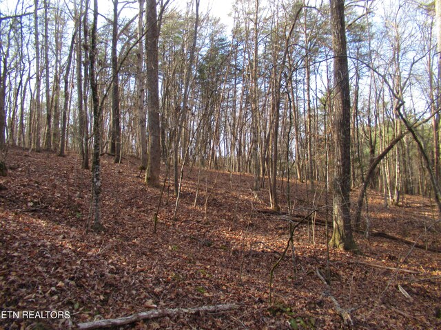 Tomotley Rd, Maryville, TN 37801 - photo 15