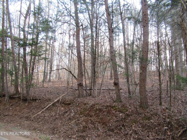 Tomotley Rd, Maryville, TN 37801 - photo 16