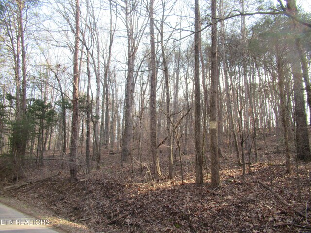 Tomotley Rd, Maryville, TN 37801 - photo 17