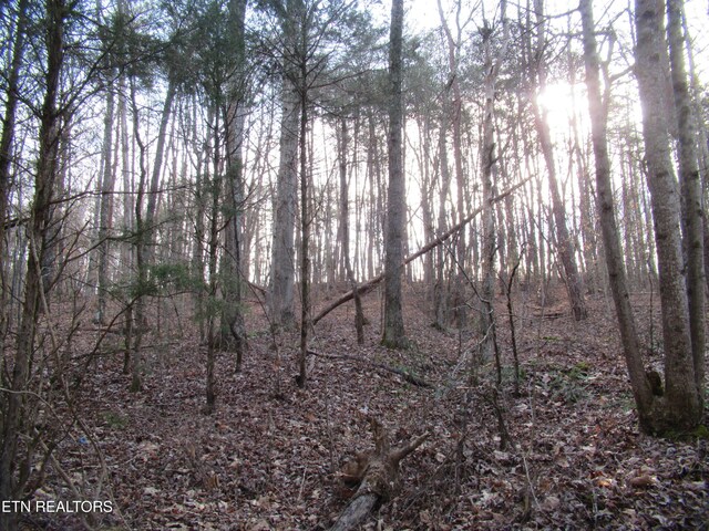 Tomotley Rd, Maryville, TN 37801 - photo 19