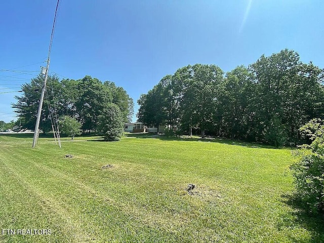 717 Ross Ln, Winfield, TN 37892 - photo 4