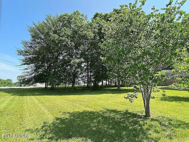 717 Ross Ln, Winfield, TN 37892 - photo 3