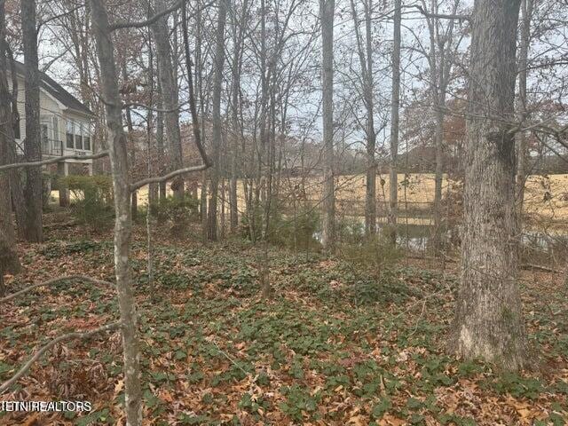 129 Cayuga Dr, Loudon, TN 37774 - photo 1