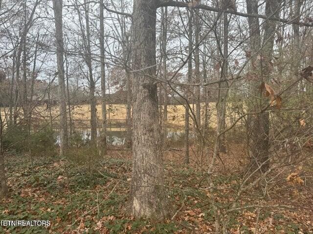 129 Cayuga Dr, Loudon, TN 37774 - photo 7