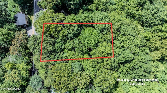 LOT586 Silver Poplar Ln, Sevierville, TN 37876 - photo 1