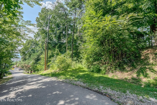LOT586 Silver Poplar Ln, Sevierville, TN 37876 - photo 9
