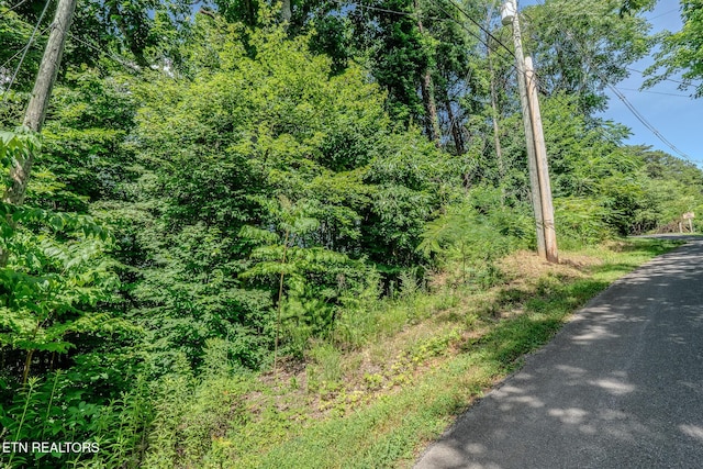 LOT586 Silver Poplar Ln, Sevierville, TN 37876 - photo 3
