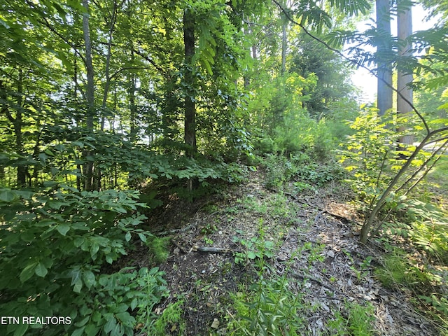LOT586 Silver Poplar Ln, Sevierville, TN 37876 - photo 4