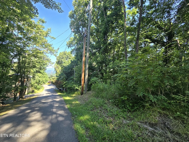 LOT586 Silver Poplar Ln, Sevierville, TN 37876 - photo 2