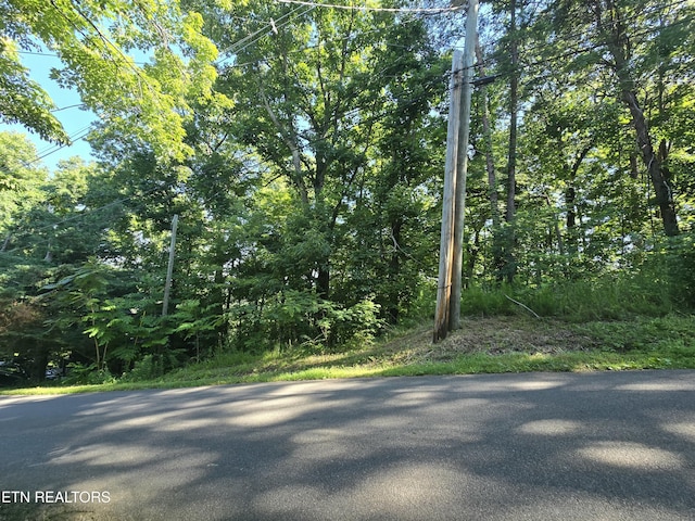 LOT586 Silver Poplar Ln, Sevierville, TN 37876 - photo 5